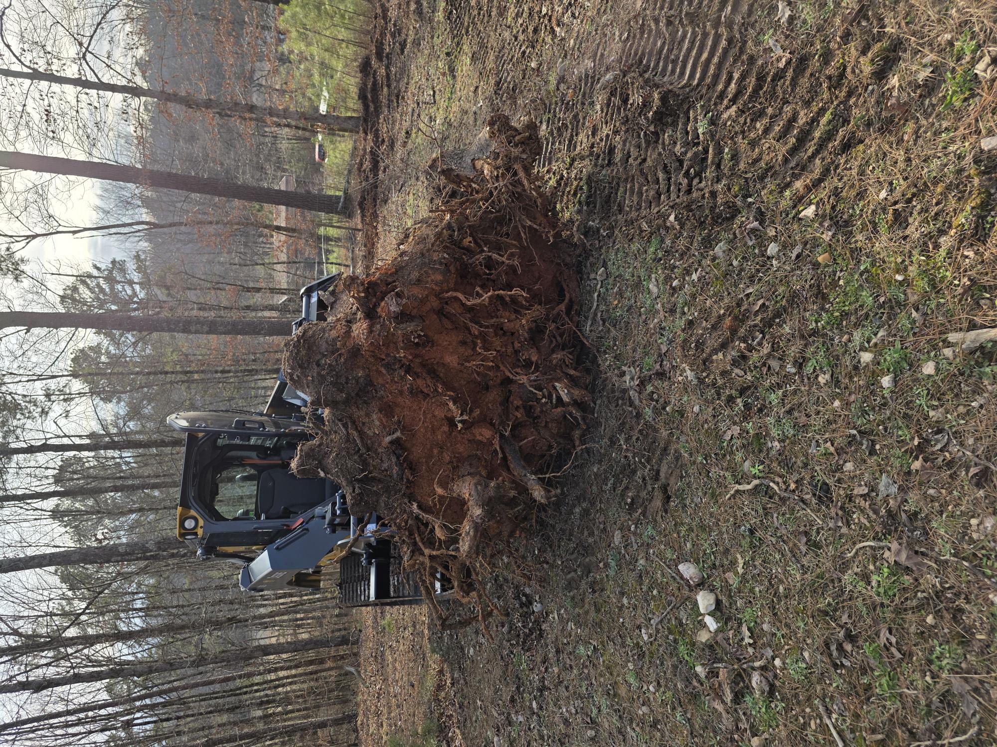 Stump removal with root ball