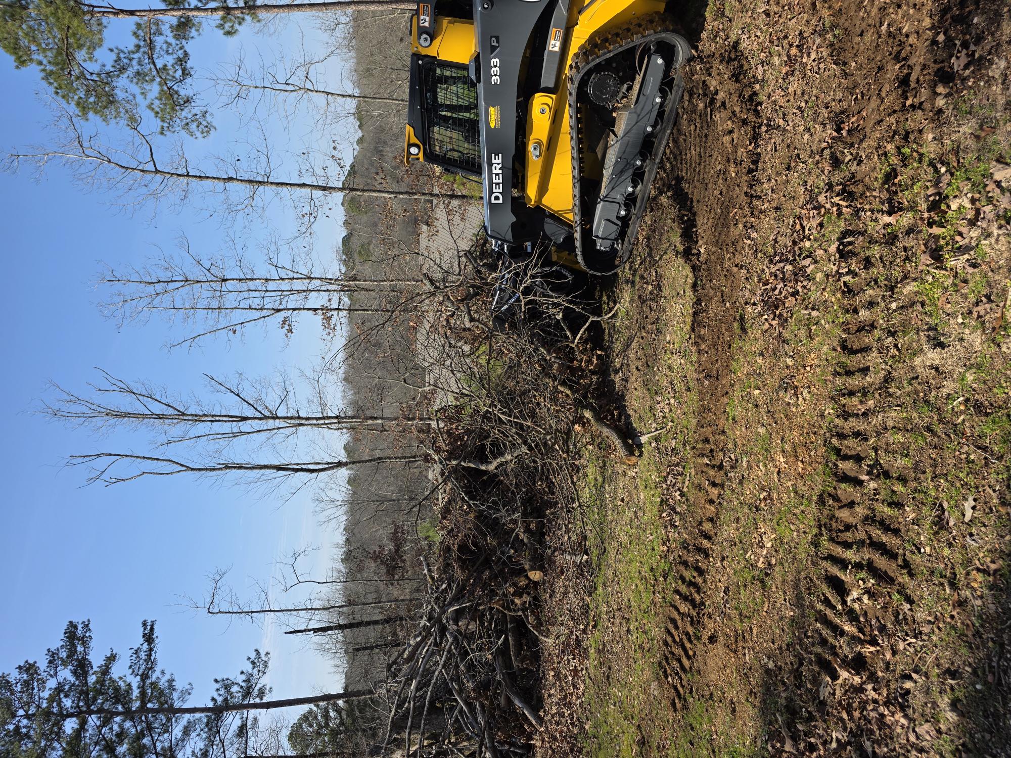 Cleared land with brush pile